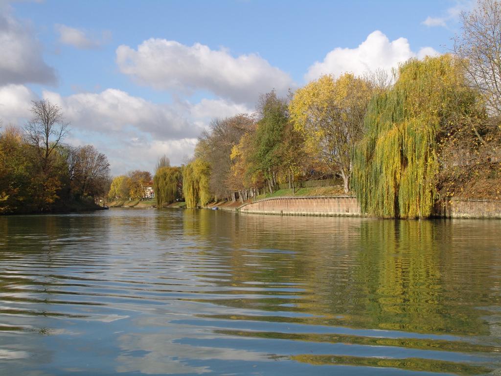 Chambre Avec Jardin Pierre Curie Bry-sur-Marne Oda fotoğraf