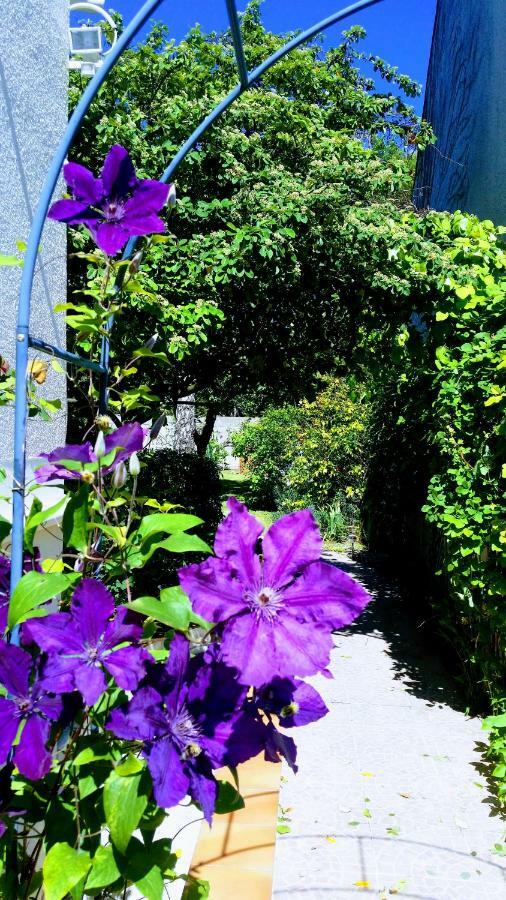 Chambre Avec Jardin Pierre Curie Bry-sur-Marne Dış mekan fotoğraf